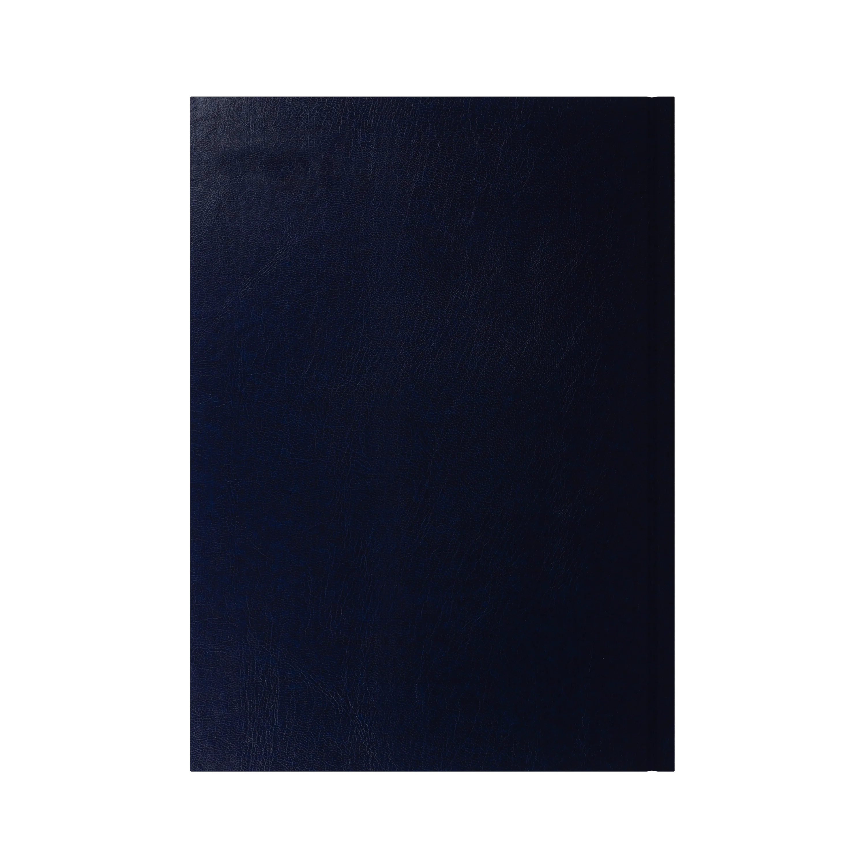 Thumbnail 23