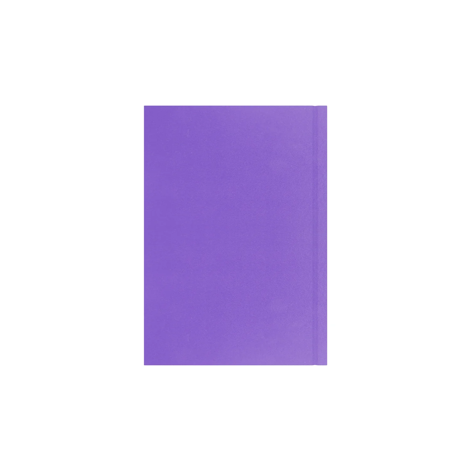 Thumbnail 22