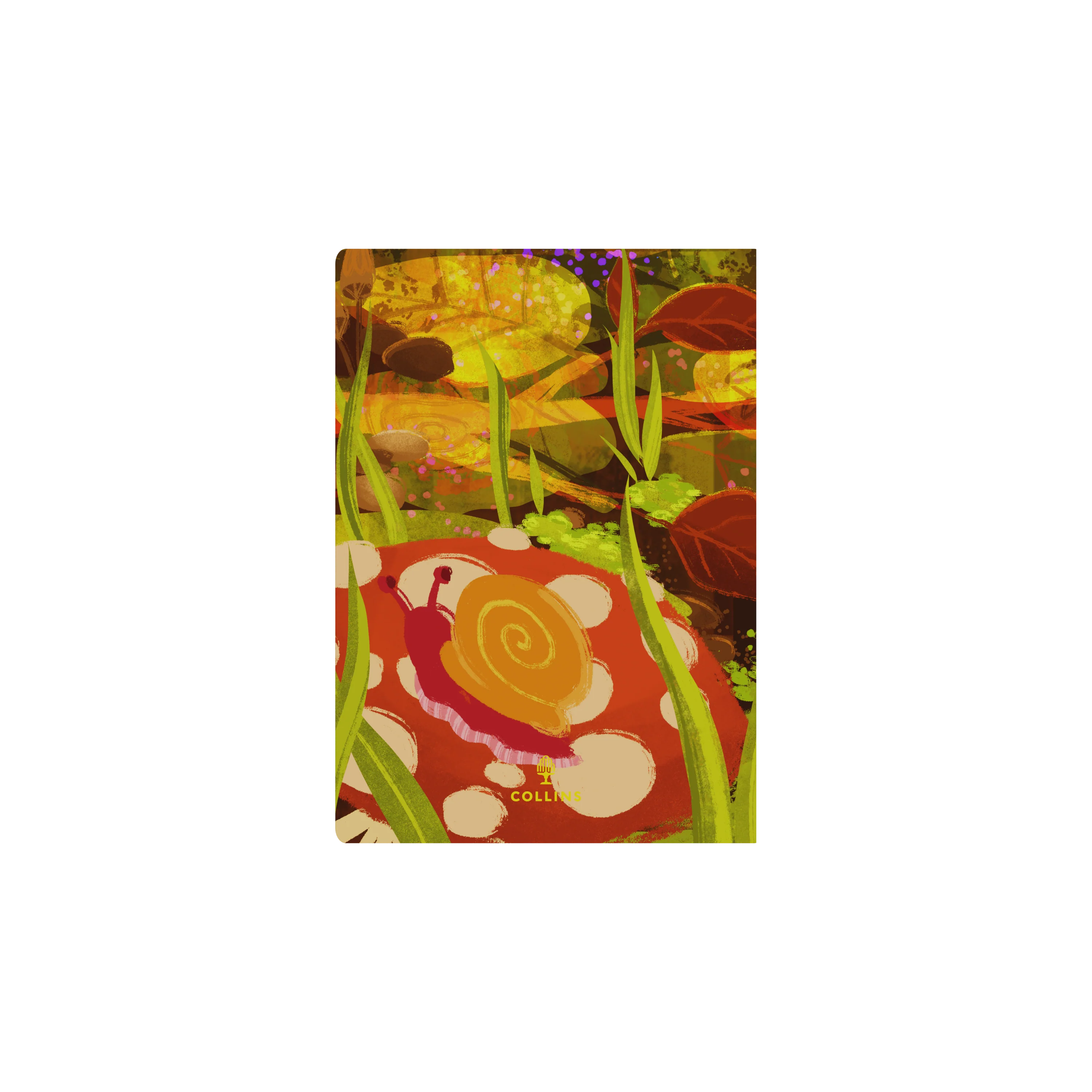 Thumbnail 5